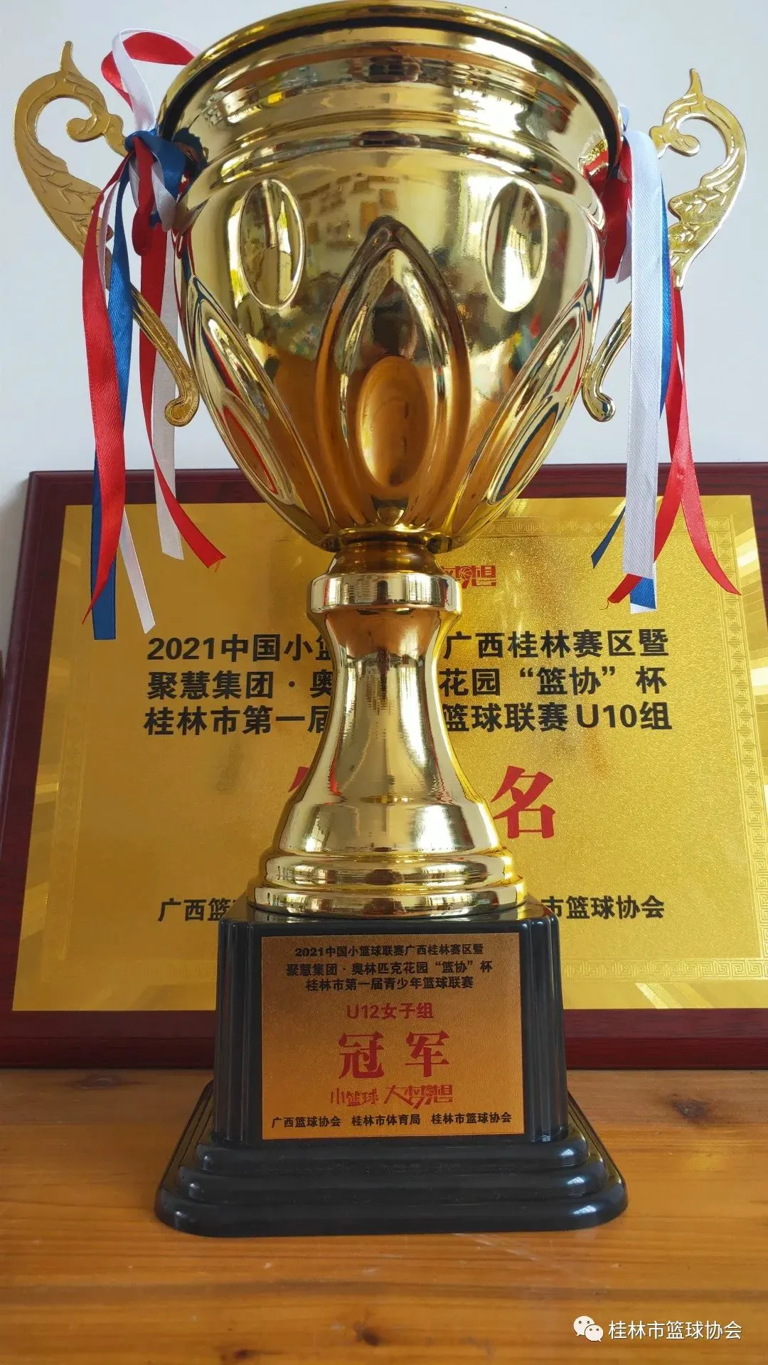 篮球青训营中的体能训练方案有哪些?_0